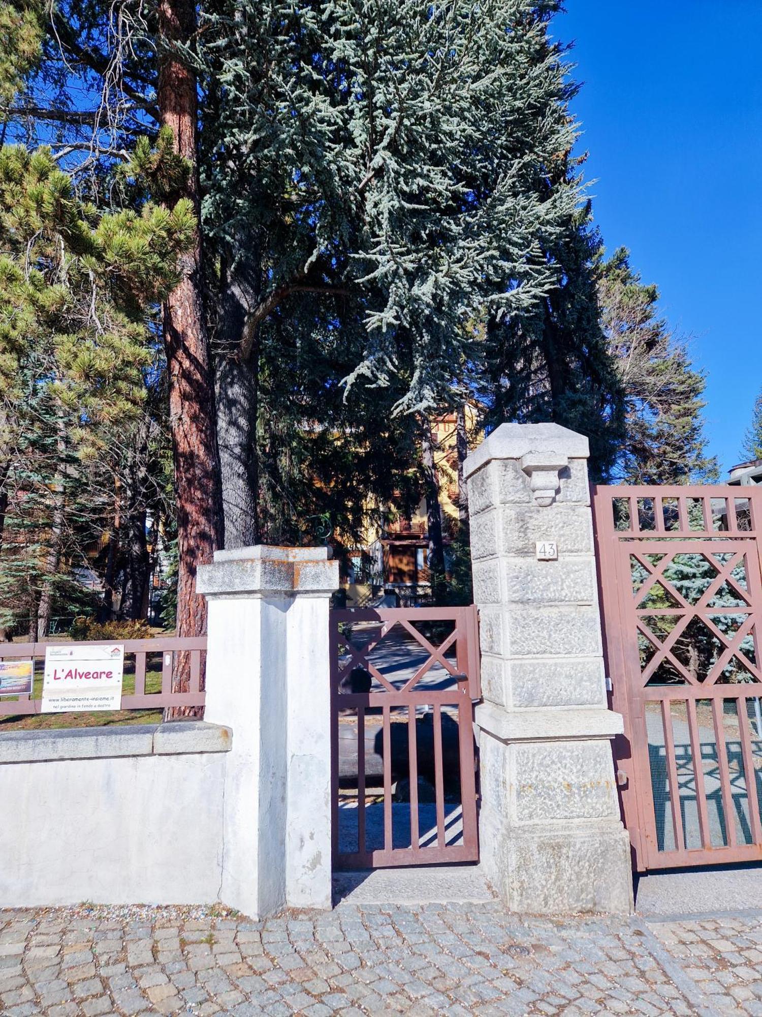 Bardonecchia Studio Apartment - Frejus Palace Zewnętrze zdjęcie